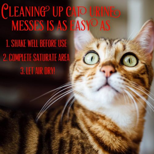  Stink Free Instantly Cat Urine Odor Remover & Eliminator Cleaning Solution, Oxidizer Based Pee Cleaner Solution & Deodorizer for Carpets, Outdoor Rugs, Rugs, Mattress, etc. 2-128 o