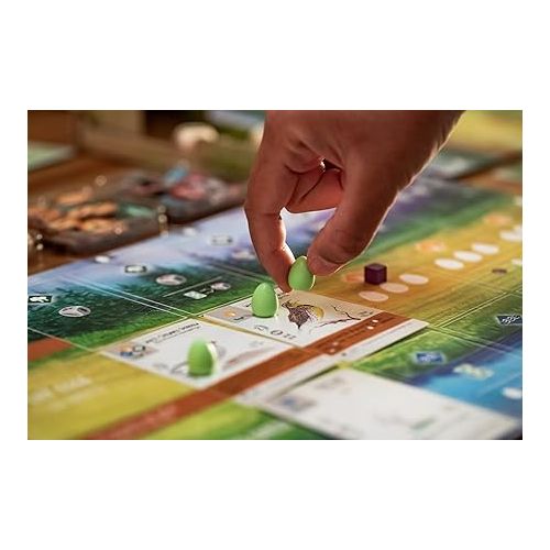  Stonemaier Games: Wingspan (Base Game) | A Relaxing, Award-Winning Strategy Board Game About Birds for Adults and Family | 1-5 Players, 40-70 Minutes, Ages 14+