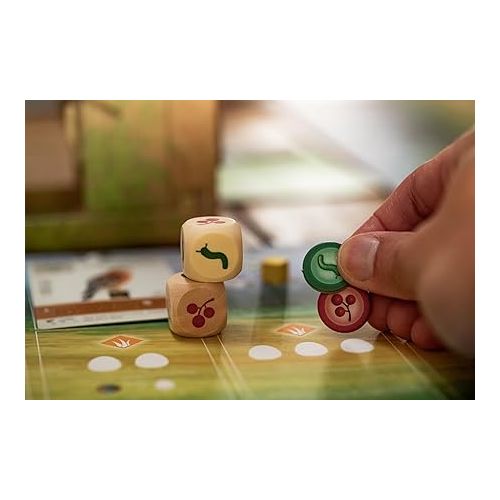  Stonemaier Games: Wingspan (Base Game) | A Relaxing, Award-Winning Strategy Board Game About Birds for Adults and Family | 1-5 Players, 40-70 Minutes, Ages 14+