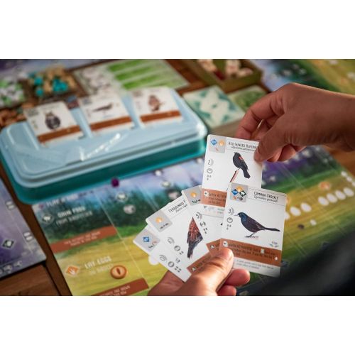  [아마존베스트]Stonemaier Games Wingspan Board Game - A Bird-Collection, Engine-Building Stonemaier Game for 1-5 Players, Ages 14+