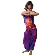 StoryBook Wishes Storybook Wishes Purple Arabian Princess Dress Up Costume (Choose Size)