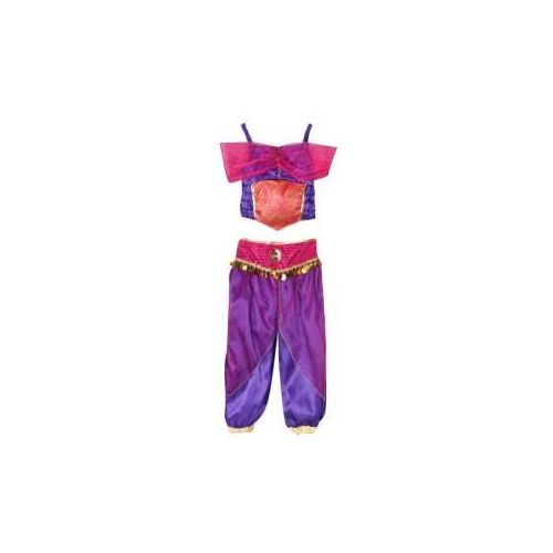  StoryBook Wishes Storybook Wishes Purple Arabian Princess Dress Up Costume (Choose Size)
