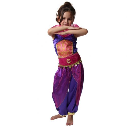  StoryBook Wishes Storybook Wishes Purple Arabian Princess Dress Up Costume (Choose Size)