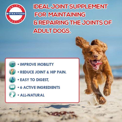  Stratford Pharmaceuticals CadaFlex Soft Chews with MSM - Glucosamine for Dogs - All-Natural Hip & Joint Pain Relief -Glucosamine Chondroitin Dogs Treats