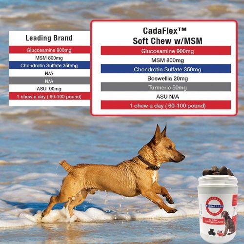  Stratford Pharmaceuticals CadaFlex Soft Chews with MSM - Glucosamine for Dogs - All-Natural Hip & Joint Pain Relief -Glucosamine Chondroitin Dogs Treats