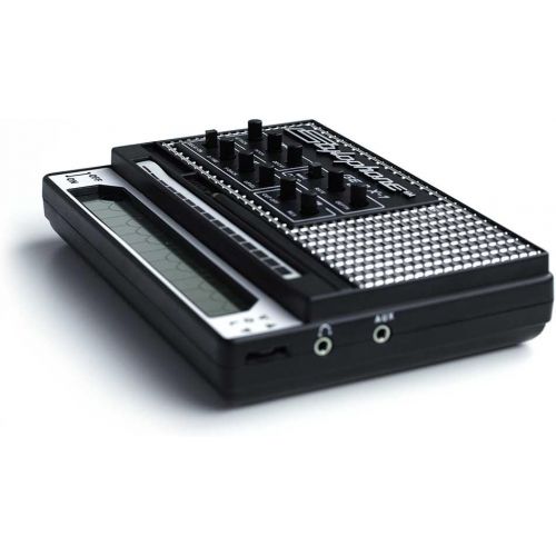  STYLOPHONE GEN X-1 Portable Analog Synthesizer: with Built-in Speaker, Keyboard and Soundstrip, LFO, Low pass filter, Envelope, Sub-octaves & Delay