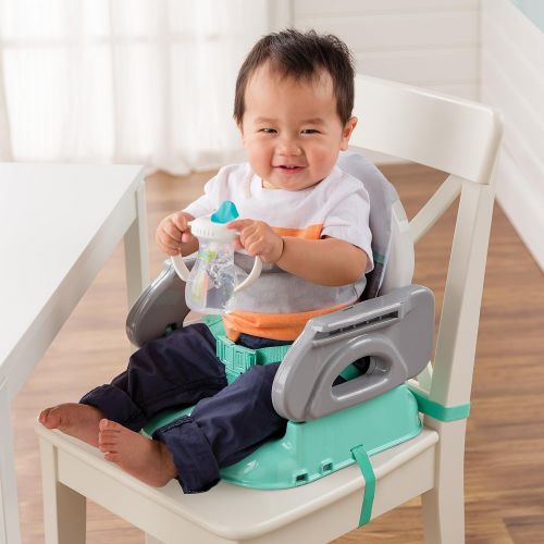 썸머인펀트 [아마존베스트]Summer Infant Deluxe Comfort Folding Booster, Elephant Love