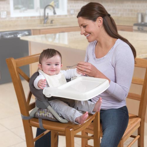 썸머인펀트 Summer Infant SecureSeat Chair & Hook-On Booster