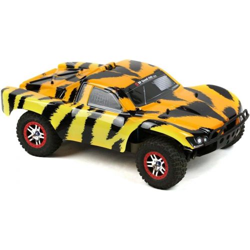  SummitLink Compatible Custom Body Tiger Style Replacement for 1/10 Scale RC Car or Truck (Truck not Included) SS-TB-02