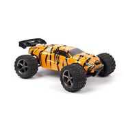 SummitLink Compatible Custom Body Tiger Style Replacement for 1/16 Scale RC Car or Truck (Truck not Included) ERMN-T-03