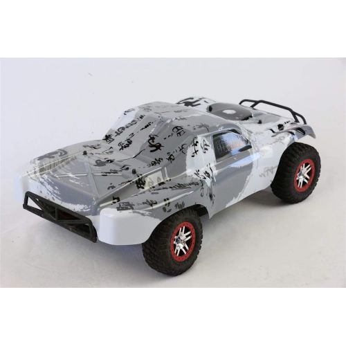  SummitLink Compatible Custom Body Taichi Style Replacement for 1/10 Scale RC Car or Truck (Truck not Included) SS-TC-01