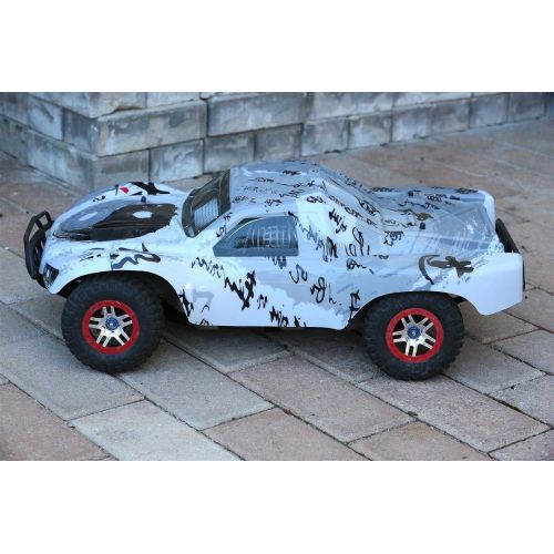  SummitLink Compatible Custom Body Taichi Style Replacement for 1/10 Scale RC Car or Truck (Truck not Included) SS-TC-01