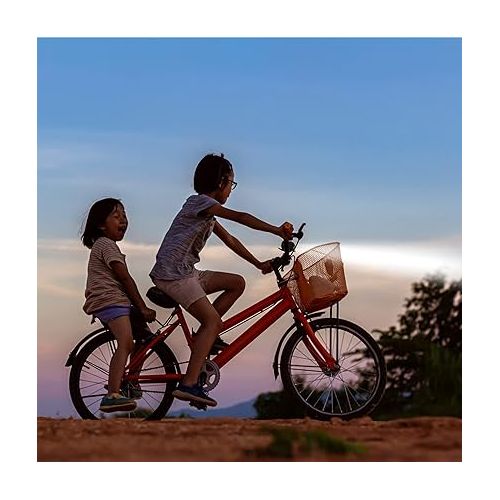  Big Discoveries Bear Bike Light - Kids Bicycle and Scooter LED Light with Realistic Roar and Bell Sound Effects | Fun Light and Horn Accessory for Boys, Girls, and Adults