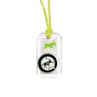 Sun Company Wildlife Compass for Kids - Childrens Compasses for Camping, Hiking, and Exploring Break-Away Neon Lanyard