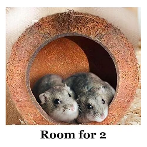  SunGrow Coconut Shell House for Gecko, Snake & Ball Python, Raw Coco Husk, Pet Hiding House, Climber or Chew Toy, for Reptiles, Amphibians (Coco Bowl)