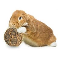 SunGrow Seagrass Ball, 3 inches, Bouncy, Chewable Teething Pet Toy for Rabbits, Cats, Hamsters, Gerbils, Birds and Other Pocket Pets, Handwoven Seagrass Ball & Reduce Bunny Boredom