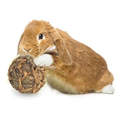  SunGrow Seagrass Ball, 3 inches, Bouncy, Chewable Teething Pet Toy for Rabbits, Cats, Hamsters, Gerbils, Birds and Other Pocket Pets, Handwoven Seagrass Ball & Reduce Bunny Boredom