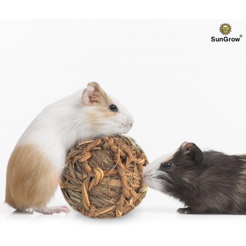  SunGrow Seagrass Ball, 3 inches, Bouncy, Chewable Teething Pet Toy for Rabbits, Cats, Hamsters, Gerbils, Birds and Other Pocket Pets, Handwoven Seagrass Ball & Reduce Bunny Boredom