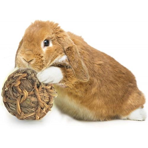  SunGrow Seagrass Ball, 3 inches, Bouncy, Chewable Teething Pet Toy for Rabbits, Cats, Hamsters, Gerbils, Birds and Other Pocket Pets, Handwoven Seagrass Ball & Reduce Bunny Boredom