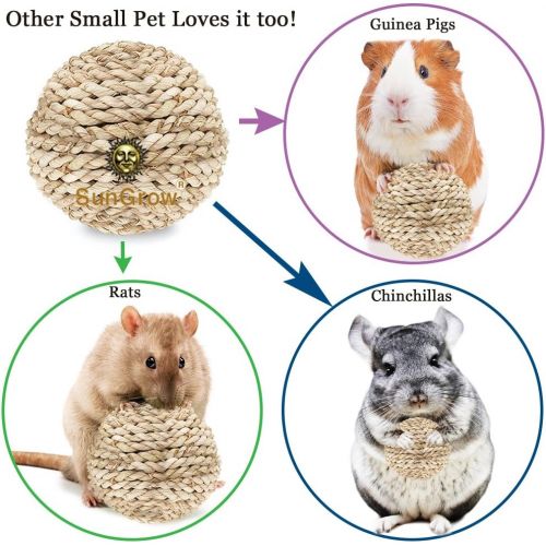 SunGrow Rabbit Rope Balls, Edible Teething Grass Toy for Nibbling, Foraging, Gnawing, Keeps Bunny’s Teeth Trimmed, Suitable for Guinea Pigs, Chinchillas, and Other Pocket Pets, 3-p