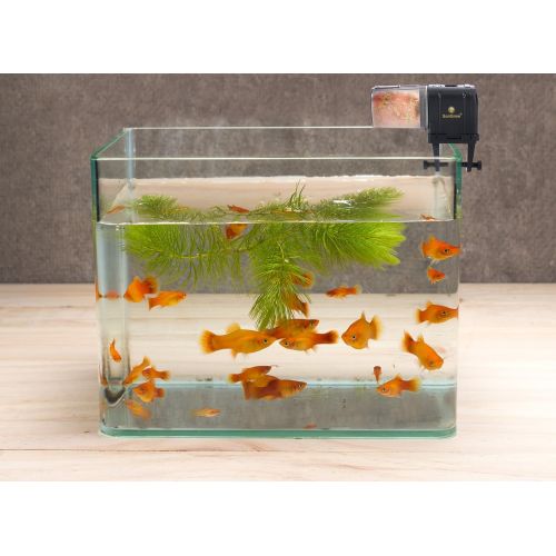  SunGrow Microcomputer Automatic Fish Feeder for Healthy Ornamental Fish - Convenient, Easy to Install on Fish Tanks & Aquariums : Ideal for Everyday Use