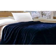 Sunbeam Electric Heated Blanket Queen Size (Blue Color)