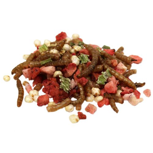  Sunseed 36035 Vita Prima Hedgehog Treat - Wigglers & Berries Trail Mix, 2.5oz