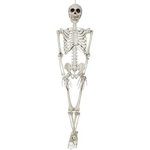 제네릭 Generic 36 Skeleton Halloween Prop