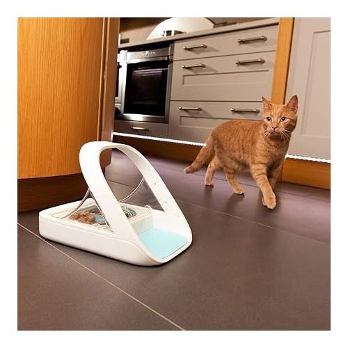  Automatic Pet Feeder - Sureflap - SureFeed Microchip Pet Feeder - MPF001 - Suitable for Both Wet and Dry Food - Bonus eOutletDeals Pet Towel