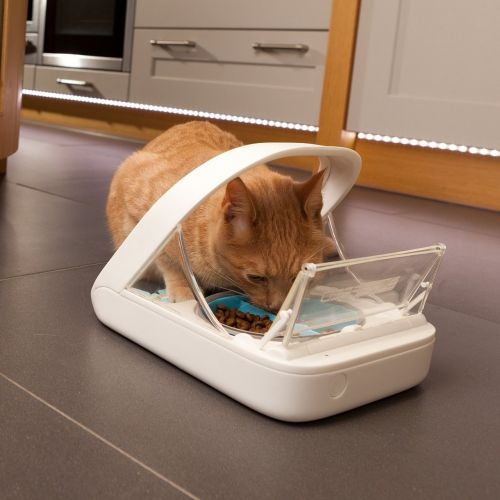  Surefeed Automatic Pet Feeder Microchip Pet Feeder - MPF001 - Suitable for Both Wet and Dry Food - with Free eOutletDeals Value Bundle