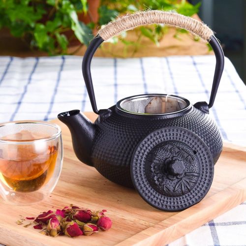  Suyika Japanese Tetsubin Cast Iron Teapot with Enameled Interior (650ml)