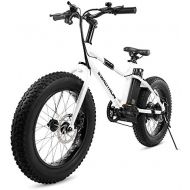 Swagtron EB-6 Bandit E-Bike 350W Motor, Power Assist, 4” Tires, 20” Wheels, Removable 36V Lithium Ion Battery, Dual Disc Brakes Electric Bike 7-Speed Shimano SIS Shifting Built fo