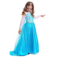 SweetNicole Snow Queen Elsa Princess Party Dress Costume with Accessories