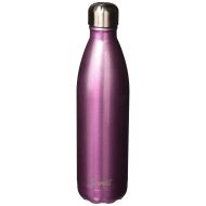 Swell Vacuum Insulated Stainless Steel Water Bottle, 25 oz, Orchid