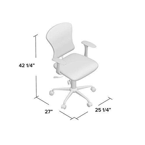  Symple Stuff Clay Mid-Back Mesh Desk Chair, Mesh Office Chair (Black)