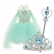 Szytypyl Elsa Costume Tutu Dress Girls Princess Birthday Party Cosplay Accessories for Halloween Christmas