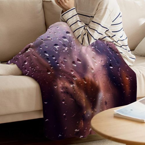  T&H Home Fuzzy Weighted Blanket Day and Night Colorful Owl Warm Flannel Throw Blanket for Baby Girls Boys Adult Home Office Sofa Chair Cars 50x80