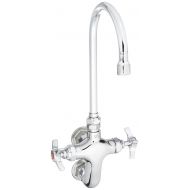T&S Brass B-0316 Wall Mount Swivel Gooseneck Vertical Double Pantry Faucet with Stream Regulator