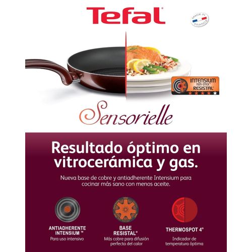 테팔 Tefal Sensorielle - Grill, interior antiadherente, 26 x 26 cent­metros