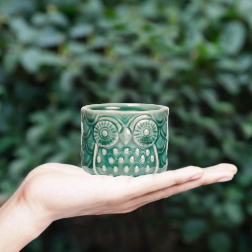  [아마존 핫딜]  [아마존핫딜]T4U Ceramic Succulent Pots Mini Size Ice Crack Planter Set of 12, Cute Owl Bonsai Pots Home Office Decoration Desktop Windowsill Gift for Baby Shower Birthday