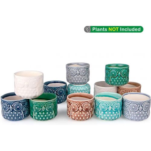  [아마존 핫딜]  [아마존핫딜]T4U Ceramic Succulent Pots Mini Size Ice Crack Planter Set of 12, Cute Owl Bonsai Pots Home Office Decoration Desktop Windowsill Gift for Baby Shower Birthday