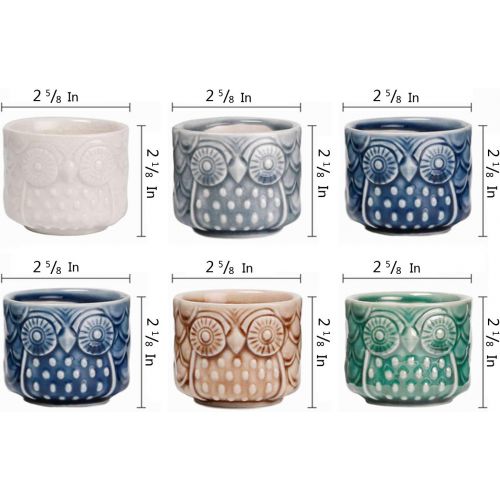  [아마존 핫딜]  [아마존핫딜]T4U Ceramic Succulent Pots Mini Size Ice Crack Planter Set of 12, Cute Owl Bonsai Pots Home Office Decoration Desktop Windowsill Gift for Baby Shower Birthday