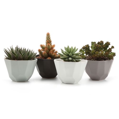  T4U 5 Inch Ceramic Geometric Pattern Semi Luster Surface Set Succulent Plant Pot/Cactus Plant Pot Flower Pot/Container/Planter Full Colors Package 1 Pack of 4