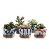 T4U Japanese Style 4.25 Ceramic Bowl Shape Succulent Plant Pot with Bamboo Tray - Collection of 5