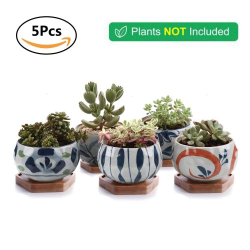  T4U Japanese Style 4.25 Ceramic Bowl Shape Succulent Plant Pot with Bamboo Tray - Collection of 5