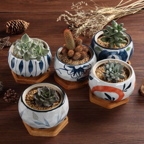  T4U Japanese Style 4.25 Ceramic Bowl Shape Succulent Plant Pot with Bamboo Tray - Collection of 5