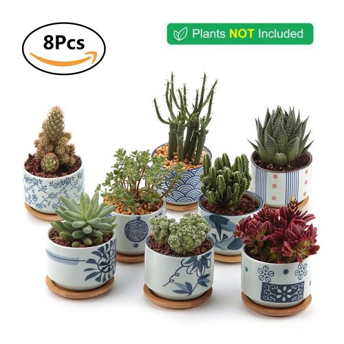  T4U 3 Inch Ceramic Japanese Style Serial Succulent Plant Pot/Cactus Plant Pot Flower Pot/Container/Planter Full Colors Package 1 Pack of 8