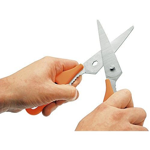  TAKAGI Takagi stainless steel kitchen scissors removable KT-01OR