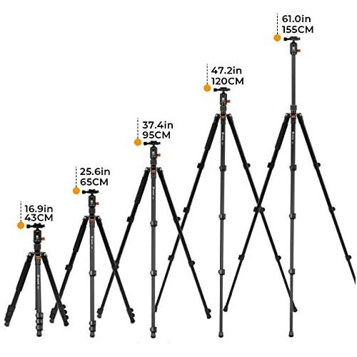  TARION Camera Tripod Monopod 61in with Panorama Ball Head Aluminium Travel Tripod for DSLR Mirrorless Cameras Support Macro Shots Counter Weight 13lb Payload Lightweight 16.9 Folda