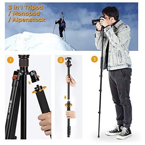  TARION Camera Tripod Monopod 61in with Panorama Ball Head Aluminium Travel Tripod for DSLR Mirrorless Cameras Support Macro Shots Counter Weight 13lb Payload Lightweight 16.9 Folda